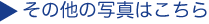 そのほか